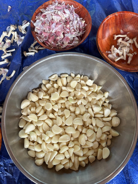 Garlic (for seed or eating) - 1 lb bag