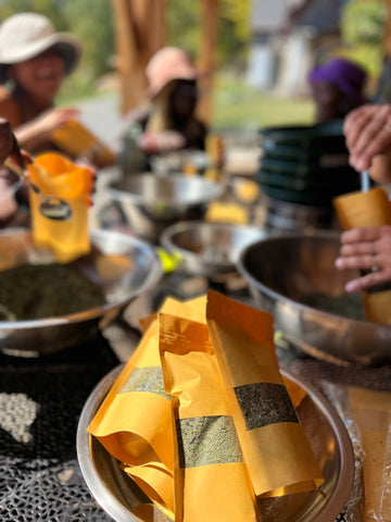 Winds of Calm Nervous System Tea