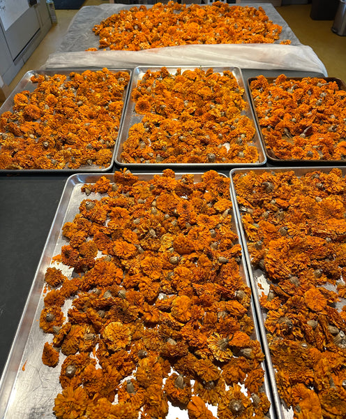 Dried African Marigold Petals